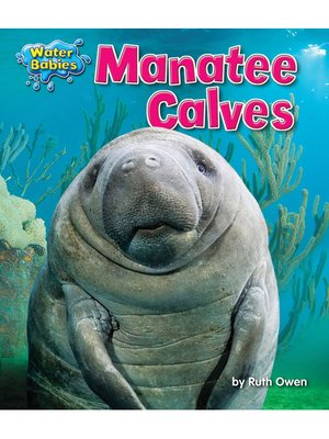 cover image of Manatee Calves